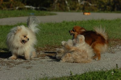 Oct8_06_215.JPG