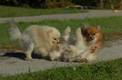 Oct8_06_219.JPG