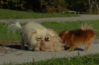 Oct8_06_223.JPG