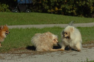 Oct8_06_225.JPG