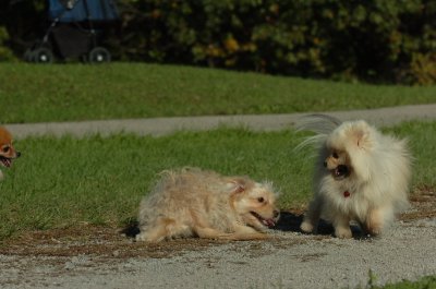 Oct8_06_226.JPG