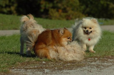 Oct8_06_227.JPG