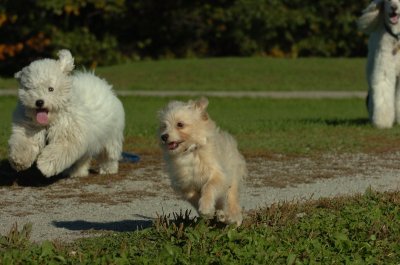 Oct8_06_281.JPG
