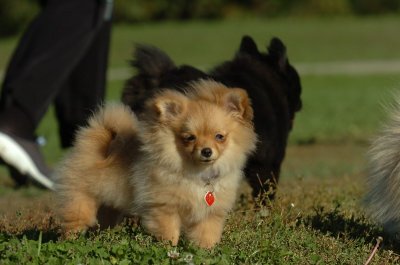 Oct8_06_283.JPG