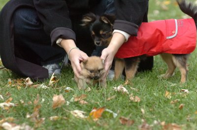 Oct26_06_144.JPG