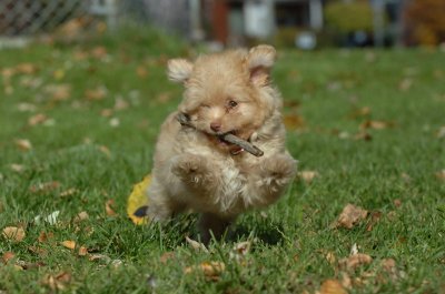 Oct26_06_206.JPG