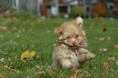 Oct26_06_207.JPG