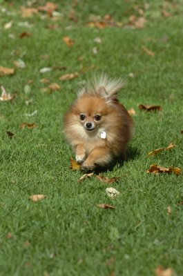 Oct26_06_221.JPG