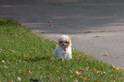 Oct26_06_225.JPG