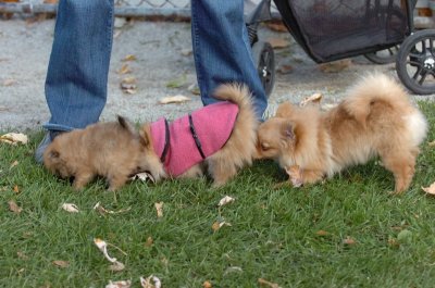 Oct26_06_233.JPG