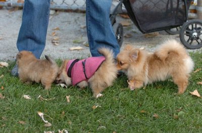 Oct26_06_234.JPG