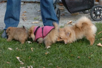 Oct26_06_235.JPG