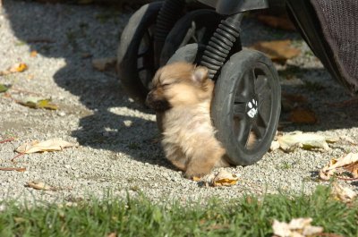 Oct26_06_237.JPG