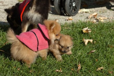Oct26_06_240.JPG