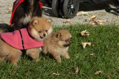 Oct26_06_242.JPG