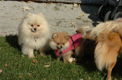 Oct26_06_243.JPG