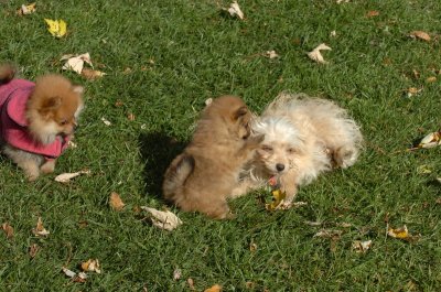 Oct26_06_244.JPG