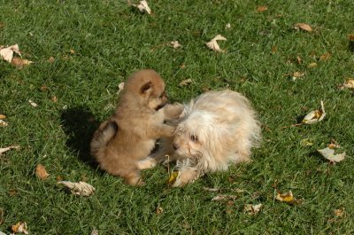Oct26_06_245.JPG