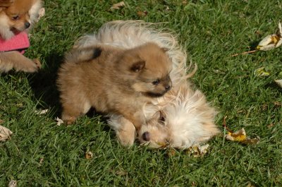 Oct26_06_249.JPG