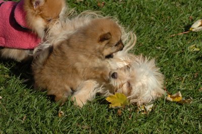 Oct26_06_251.JPG