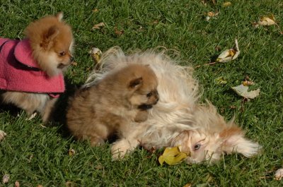 Oct26_06_253.JPG