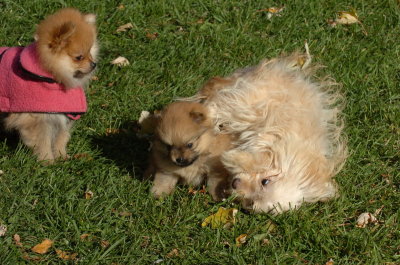 Oct26_06_255.JPG