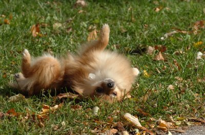 Oct26_06_050.JPG