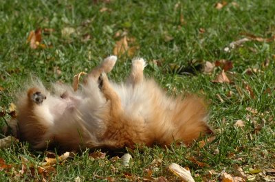 Oct26_06_051.JPG
