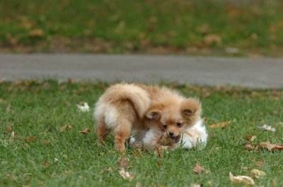 Oct26_06_068.JPG