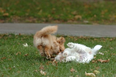 Oct26_06_069.JPG