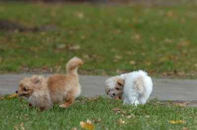 Oct26_06_077.JPG