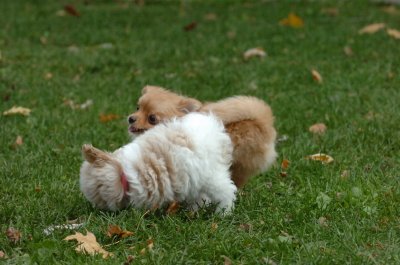 Oct26_06_080.JPG