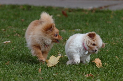 Oct26_06_085.JPG