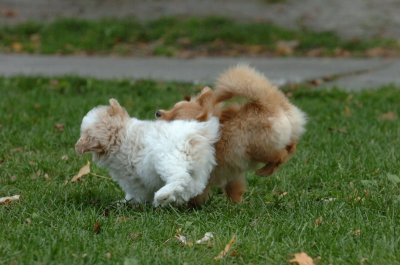 Oct26_06_087.JPG