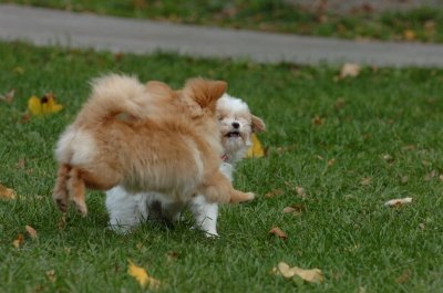 Oct26_06_093.JPG