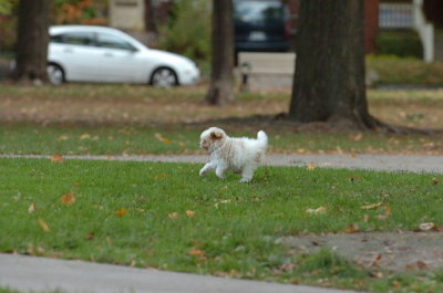 Oct26_06_097.JPG