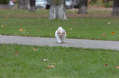 Oct26_06_099.JPG