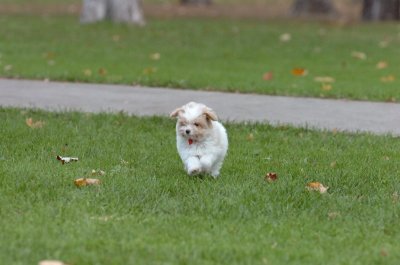 Oct26_06_100.JPG