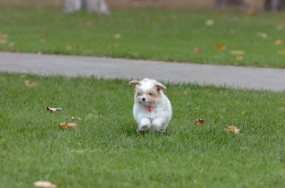 Oct26_06_101.JPG