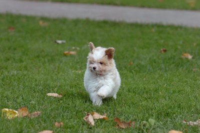 Oct26_06_102.JPG