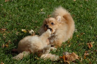 Oct26_06_112.JPG