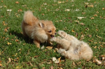 Oct26_06_113.JPG