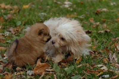 Oct26_06_122.JPG