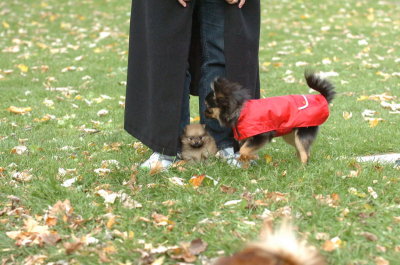 Oct26_06_142.JPG