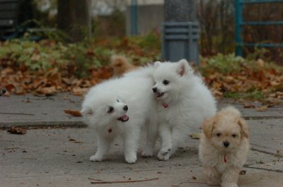 Nov27_06_601.JPG