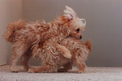 Dec7_06_006.JPG