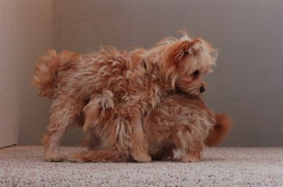 Dec7_06_007.JPG