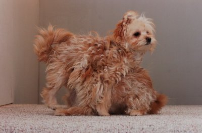 Dec7_06_008.JPG