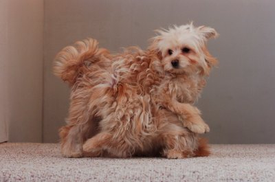 Dec7_06_009.JPG