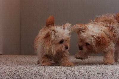 Dec7_06_025.JPG